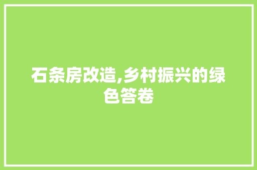 石条房改造,乡村振兴的绿色答卷