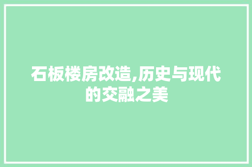 石板楼房改造,历史与现代的交融之美