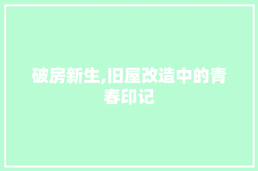 破房新生,旧屋改造中的青春印记 地面装修