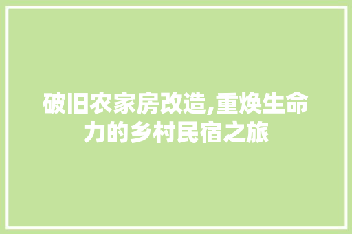 破旧农家房改造,重焕生命力的乡村民宿之旅