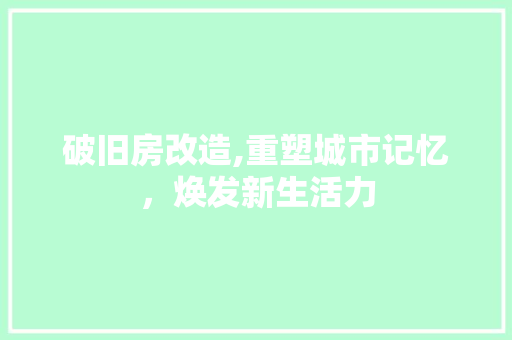 破旧房改造,重塑城市记忆，焕发新生活力