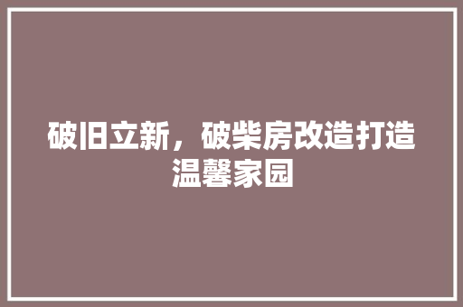 破旧立新，破柴房改造打造温馨家园