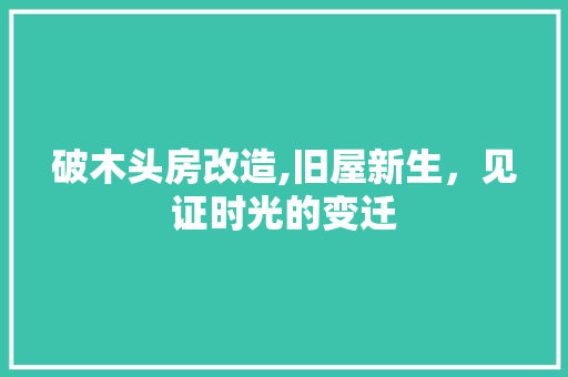 破木头房改造,旧屋新生，见证时光的变迁
