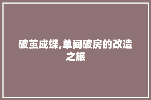 破茧成蝶,单间破房的改造之旅