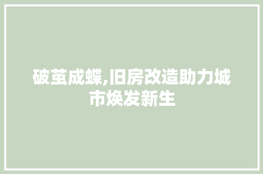 破茧成蝶,旧房改造助力城市焕发新生 装修攻略