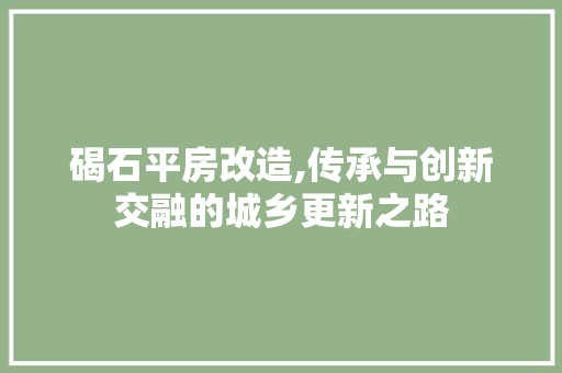 碣石平房改造,传承与创新交融的城乡更新之路