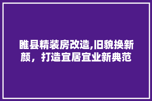 睢县精装房改造,旧貌换新颜，打造宜居宜业新典范
