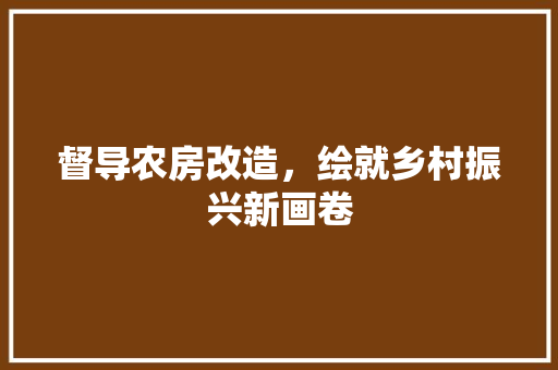 督导农房改造，绘就乡村振兴新画卷