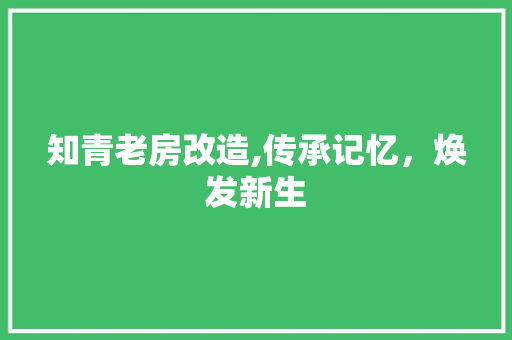 知青老房改造,传承记忆，焕发新生