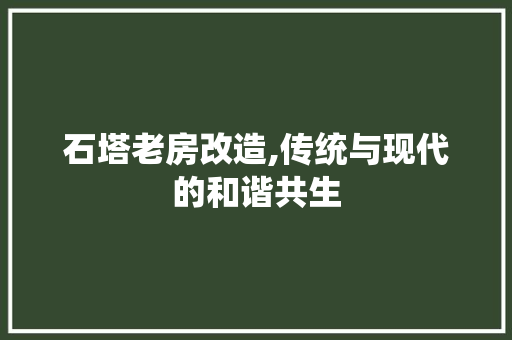 石塔老房改造,传统与现代的和谐共生