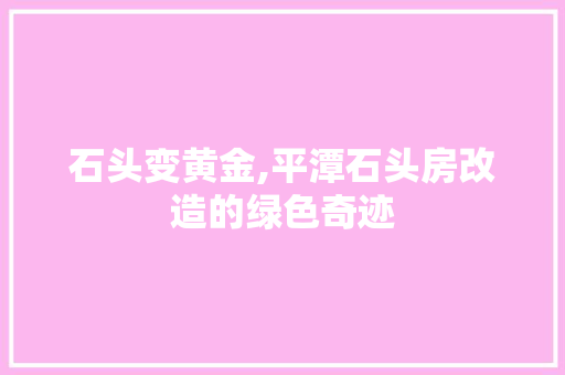 石头变黄金,平潭石头房改造的绿色奇迹