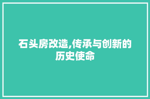 石头房改造,传承与创新的历史使命 建筑设计