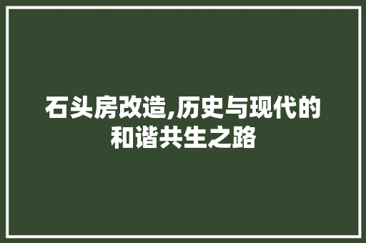 石头房改造,历史与现代的和谐共生之路