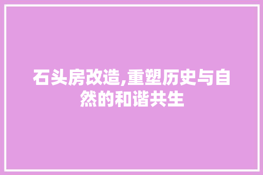 石头房改造,重塑历史与自然的和谐共生 装修材料
