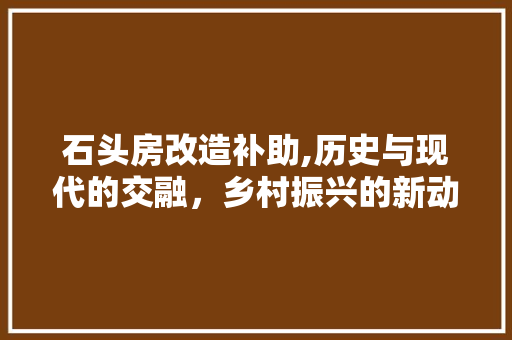 石头房改造补助,历史与现代的交融，乡村振兴的新动力