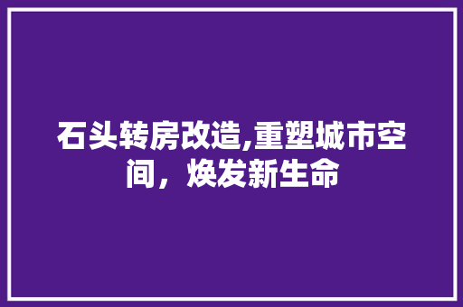 石头转房改造,重塑城市空间，焕发新生命