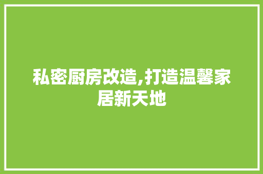 私密厨房改造,打造温馨家居新天地 墙面装饰