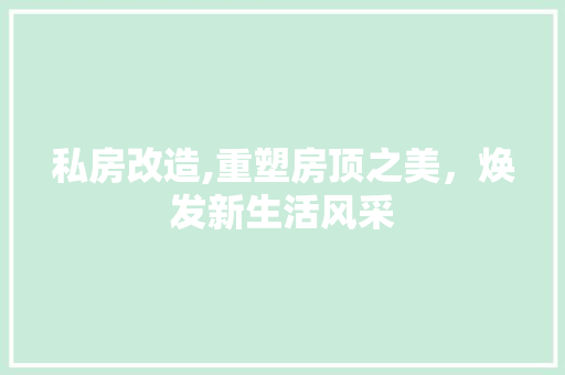 私房改造,重塑房顶之美，焕发新生活风采