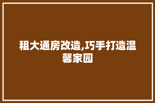 租大通房改造,巧手打造温馨家园