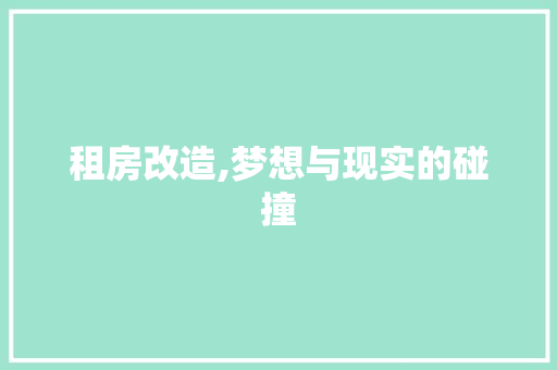 租房改造,梦想与现实的碰撞