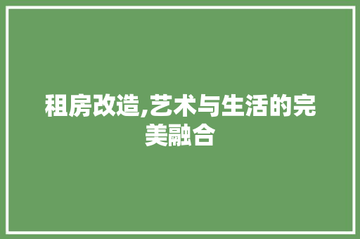 租房改造,艺术与生活的完美融合