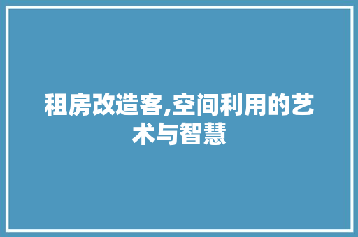 租房改造客,空间利用的艺术与智慧