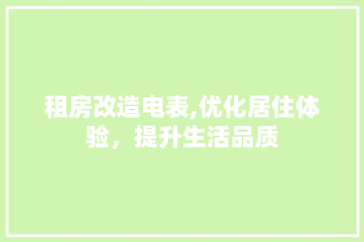 租房改造电表,优化居住体验，提升生活品质