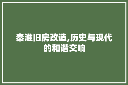 秦淮旧房改造,历史与现代的和谐交响