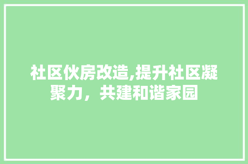 社区伙房改造,提升社区凝聚力，共建和谐家园 庭院装修