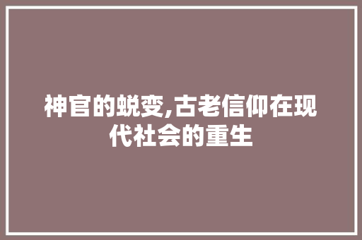 神官的蜕变,古老信仰在现代社会的重生