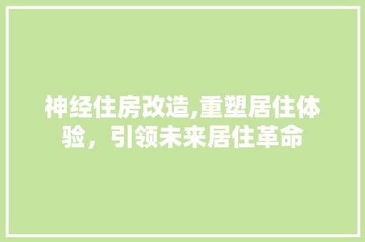 神经住房改造,重塑居住体验，引领未来居住革命