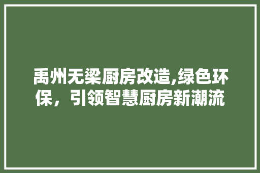 禹州无梁厨房改造,绿色环保，引领智慧厨房新潮流