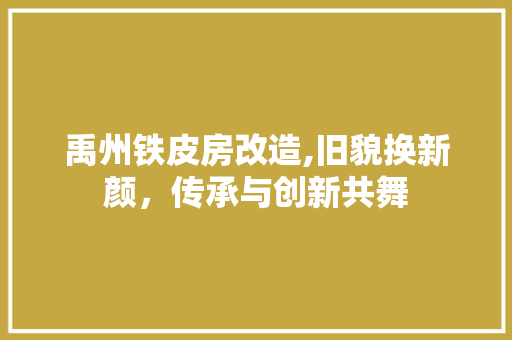 禹州铁皮房改造,旧貌换新颜，传承与创新共舞