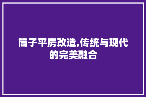 筒子平房改造,传统与现代的完美融合