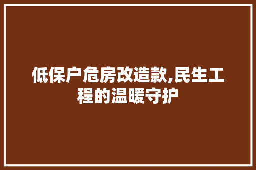 低保户危房改造款,民生工程的温暖守护