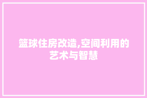 篮球住房改造,空间利用的艺术与智慧