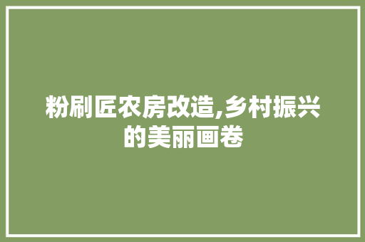 粉刷匠农房改造,乡村振兴的美丽画卷