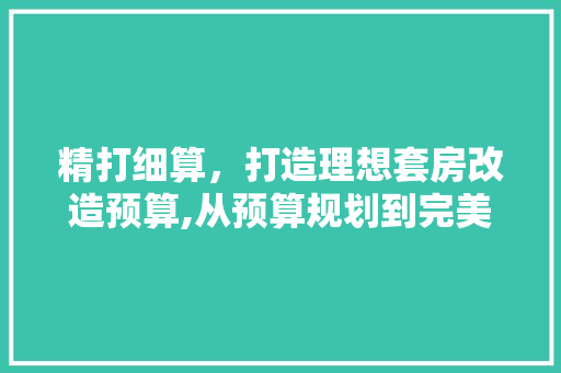 精打细算，打造理想套房改造预算,从预算规划到完美呈现