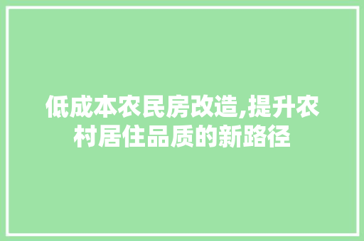 低成本农民房改造,提升农村居住品质的新路径