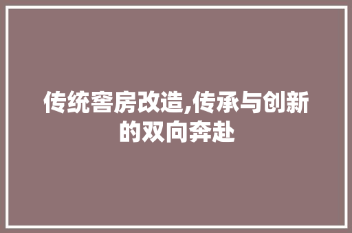 传统窖房改造,传承与创新的双向奔赴