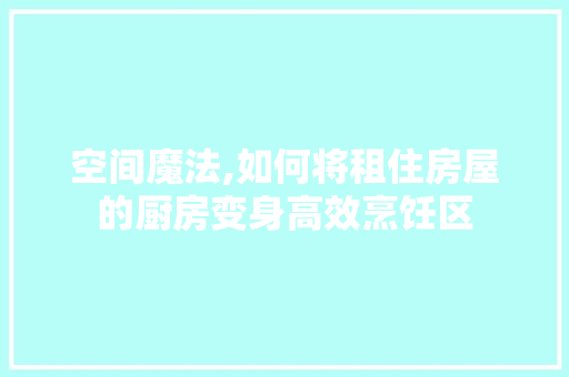 空间魔法,如何将租住房屋的厨房变身高效烹饪区