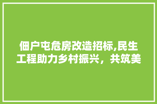 佃户屯危房改造招标,民生工程助力乡村振兴，共筑美好家园