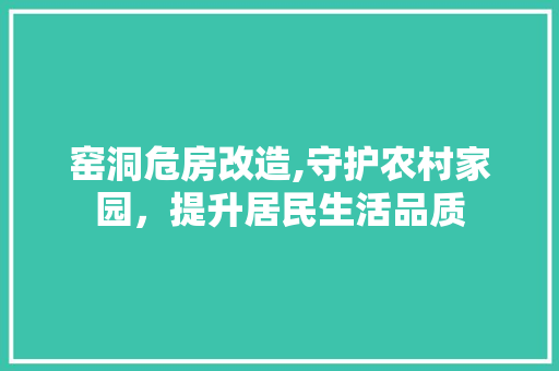 窑洞危房改造,守护农村家园，提升居民生活品质