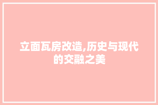 立面瓦房改造,历史与现代的交融之美