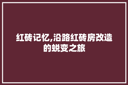 红砖记忆,沿路红砖房改造的蜕变之旅