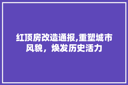 红顶房改造通报,重塑城市风貌，焕发历史活力