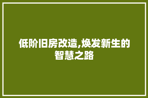 低阶旧房改造,焕发新生的智慧之路