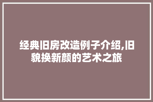 经典旧房改造例子介绍,旧貌换新颜的艺术之旅