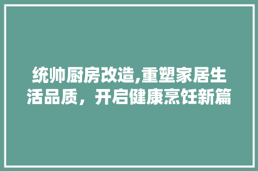 统帅厨房改造,重塑家居生活品质，开启健康烹饪新篇章 庭院装修