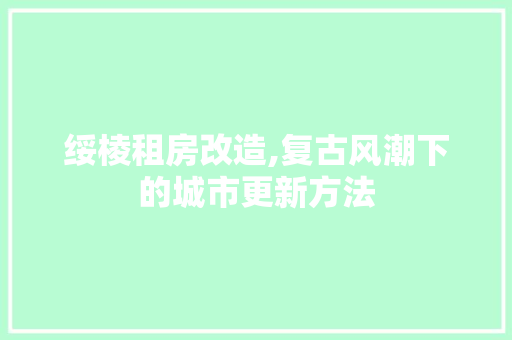 绥棱租房改造,复古风潮下的城市更新方法